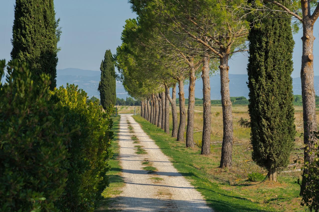 Agriturismo Bandinelli Braccagni Luaran gambar