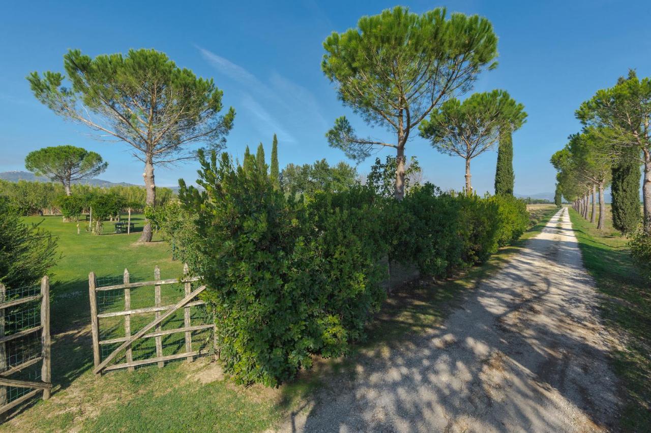 Agriturismo Bandinelli Braccagni Luaran gambar